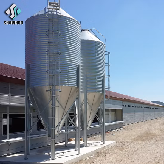 Material de estrutura de aço movido a energia solar Grande fazenda de frangos
